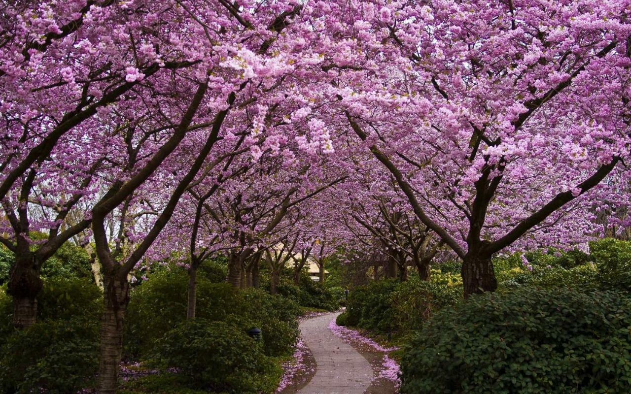 Parco Delle Perle * Rome